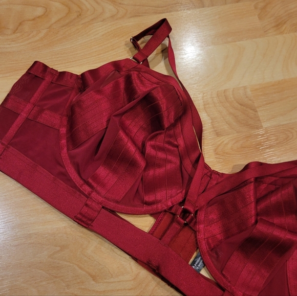 Torrid Longline Overt Strappy Mesh Underwire Bra Size 3 - Picture 5 of 12